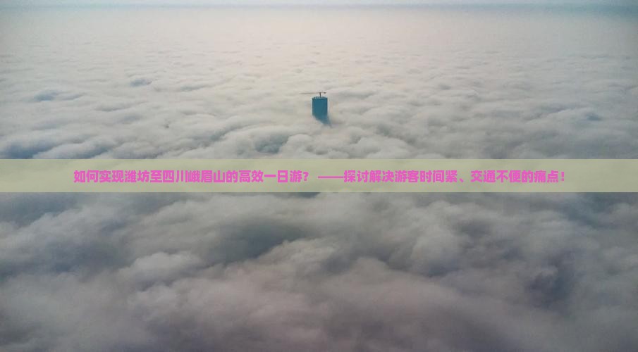 如何实现潍坊至四川峨眉山的高效一日游？ ——探讨解决游客时间紧、交通不便的痛点！