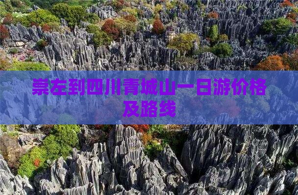 崇左到四川青城山一日游价格及路线