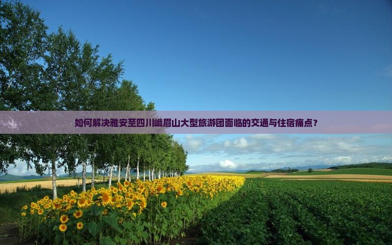 如何解决雅安至四川峨眉山大型旅游团面临的交通与住宿痛点？