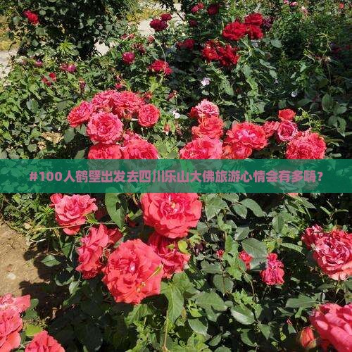 #100人鹤壁出发去四川乐山大佛旅游心情会有多嗨？