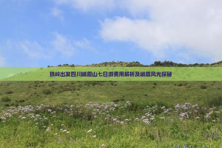 铁岭出发四川峨眉山七日游费用解析及峨眉风光探秘