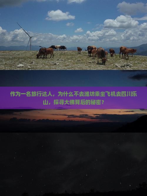 作为一名旅行达人，为什么不去潍坊乘坐飞机去四川乐山，探寻大佛背后的秘密？