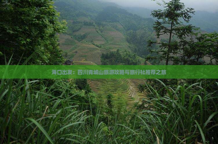 海口出发：四川青城山旅游攻略与旅行社推荐之旅