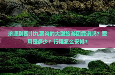 济源到四川九寨沟的大型旅游团靠谱吗？费用是多少？行程怎么安排？