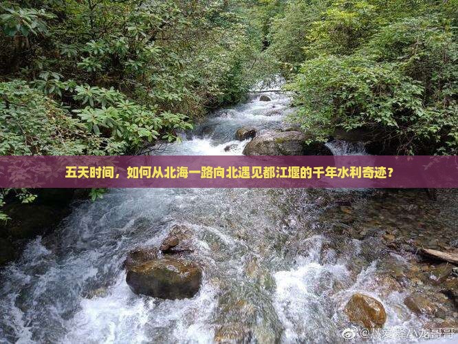 五天时间，如何从北海一路向北遇见都江堰的千年水利奇迹？