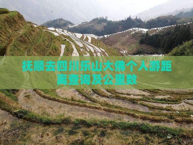 抚顺去四川乐山大佛个人游距离查询及公里数