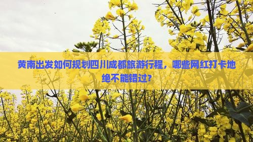 黄南出发如何规划四川成都旅游行程，哪些网红打卡地绝不能错过？