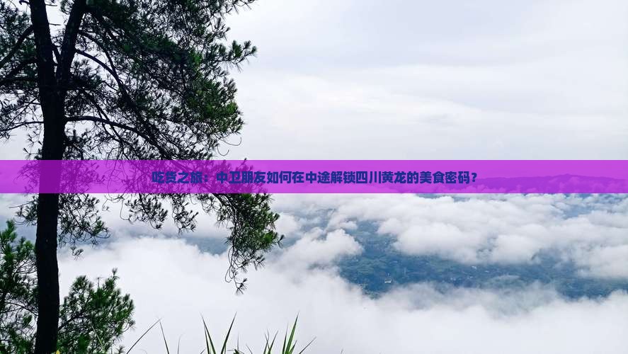 吃货之旅：中卫朋友如何在中途解锁四川黄龙的美食密码？