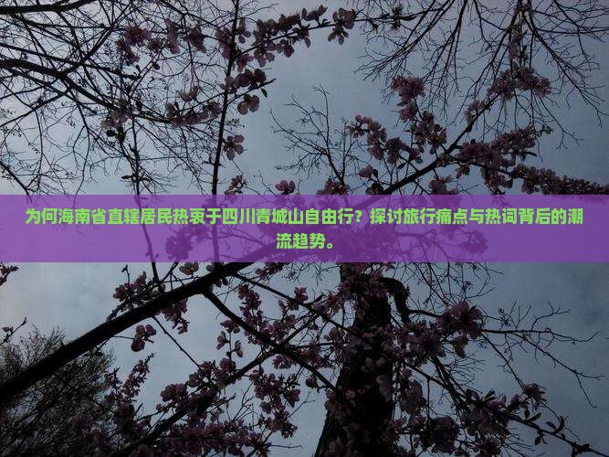 为何海南省直辖居民热衷于四川青城山自由行？探讨旅行痛点与热词背后的潮流趋势。