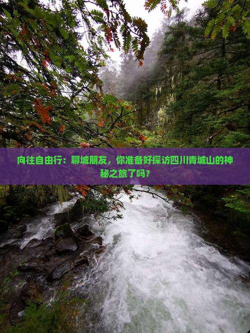 向往自由行：聊城朋友，你准备好探访四川青城山的神秘之旅了吗？