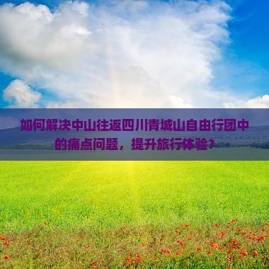 如何解决中山往返四川青城山自由行团中的痛点问题，提升旅行体验？