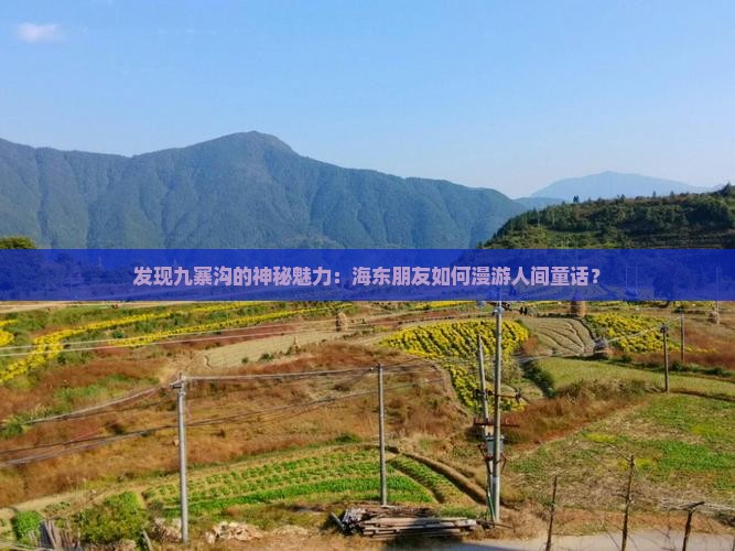 发现九寨沟的神秘魅力：海东朋友如何漫游人间童话？