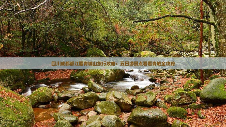 四川成都都江堰青城山旅行攻略：五日游景点看看青城全攻略