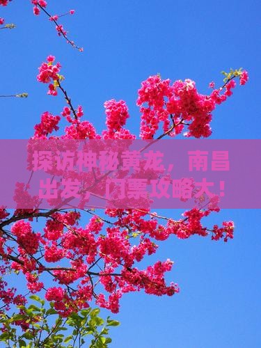 探访神秘黄龙，南昌出发，门票攻略大！