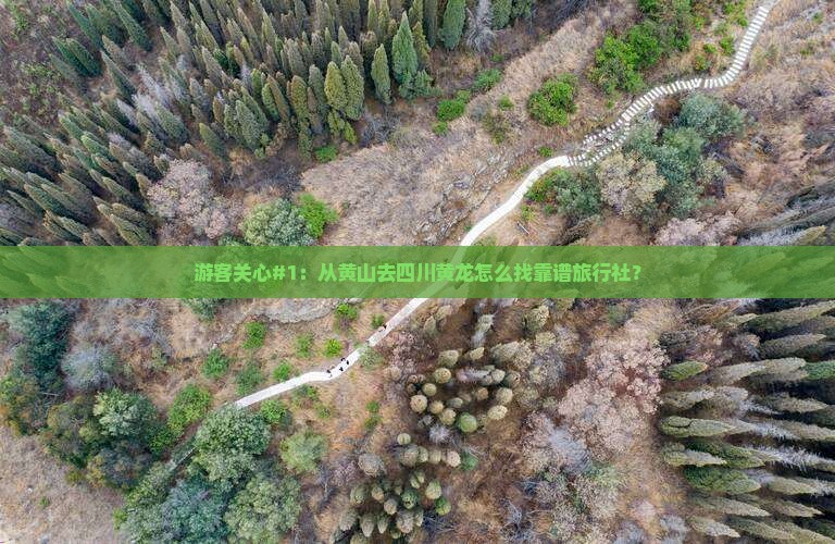 游客关心#1：从黄山去四川黄龙怎么找靠谱旅行社？