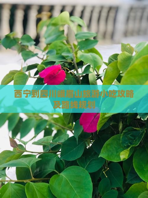 西宁到四川峨眉山旅游小吃攻略及路线规划