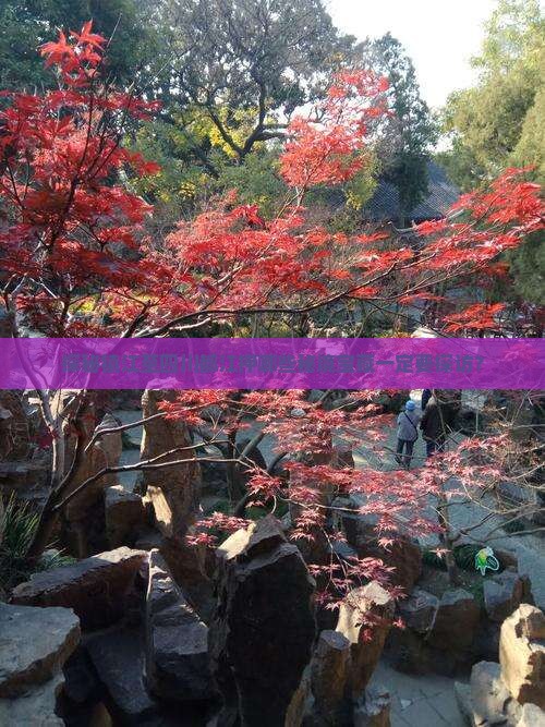 探秘镇江至四川都江押哪些秘境宝藏一定要探访？