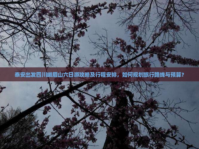 泰安出发四川峨眉山六日游攻略及行程安排，如何规划旅行路线与预算？