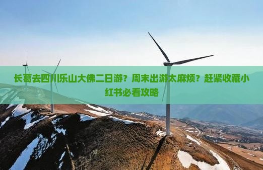 长葛去四川乐山大佛二日游？周末出游太麻烦？赶紧收藏小红书必看攻略