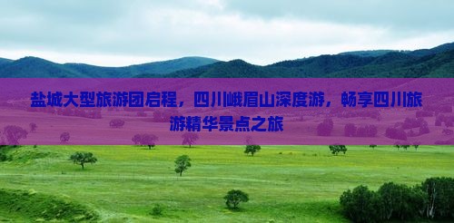 盐城大型旅游团启程，四川峨眉山深度游，畅享四川旅游精华景点之旅