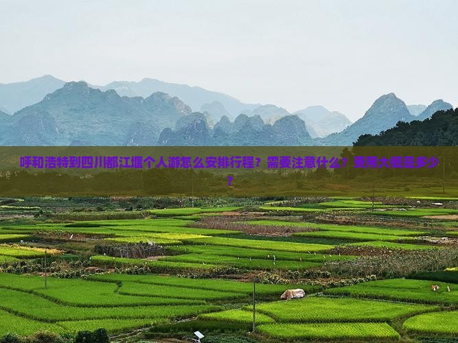 呼和浩特到四川都江堰个人游怎么安排行程？需要注意什么？费用大概是多少？