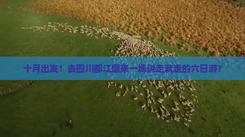 十月出发！去四川都江堰来一场说走就走的六日游？