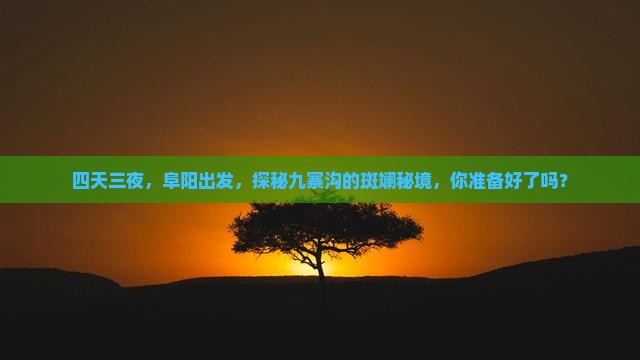 四天三夜，阜阳出发，探秘九寨沟的斑斓秘境，你准备好了吗？