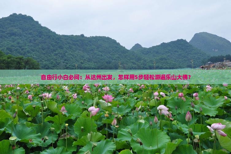 自由行小白必问：从达州出发，怎样用5步轻松游遍乐山大佛？