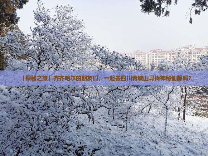 【探秘之旅】齐齐哈尔的朋友们，一起去四川青城山寻找神秘仙踪吗？