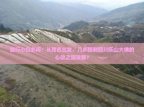 旅行小白必问：从茂名出发，几步路到四川乐山大佛的心动之旅攻略？