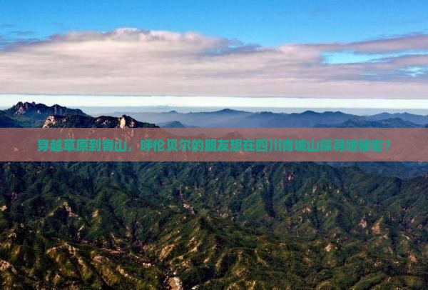 穿越草原到青山，呼伦贝尔的朋友想在四川青城山探寻啥秘密？