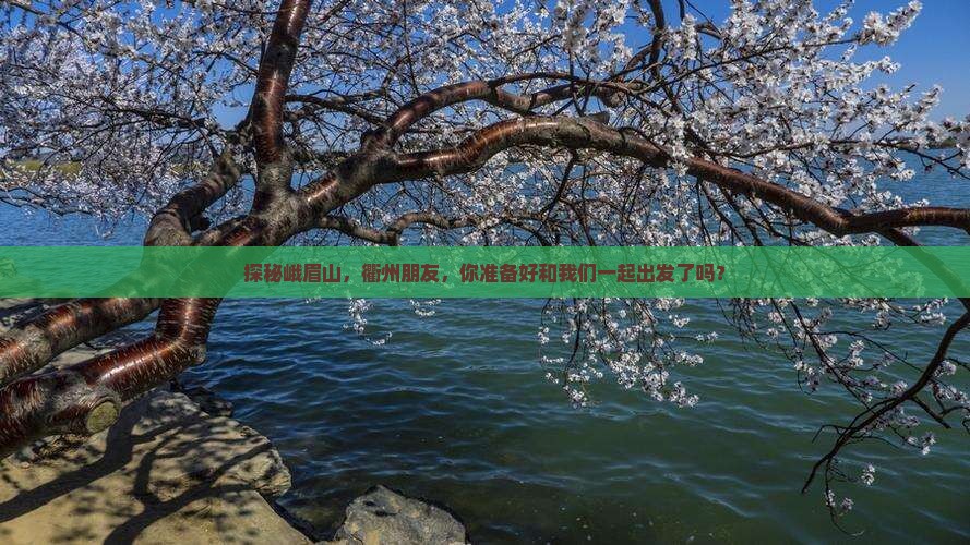 探秘峨眉山，衢州朋友，你准备好和我们一起出发了吗？