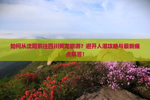 如何从沈阳前往四川黄龙旅游？避开人潮攻略与最新痛点解答！