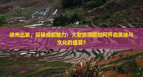 徐州出发，探秘成都魅力：大型旅游团如何开启美味与文化的盛宴？