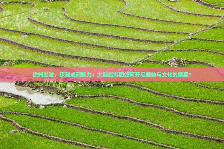 徐州出发，探秘成都魅力：大型旅游团如何开启美味与文化的盛宴？