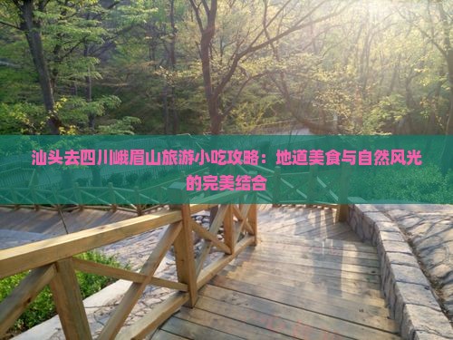 汕头去四川峨眉山旅游小吃攻略：地道美食与自然风光的完美结合