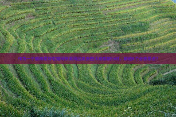 作为一个旅游爱好宅如何在漯河出发去四川成都旅行时，精选5个必去景点？