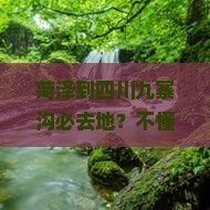菏泽到四川九寨沟必去地？不懂这些痛点你敢去？