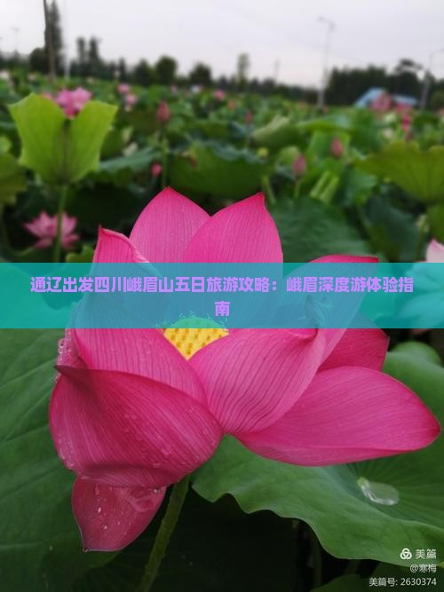 通辽出发四川峨眉山五日旅游攻略：峨眉深度游体验指南