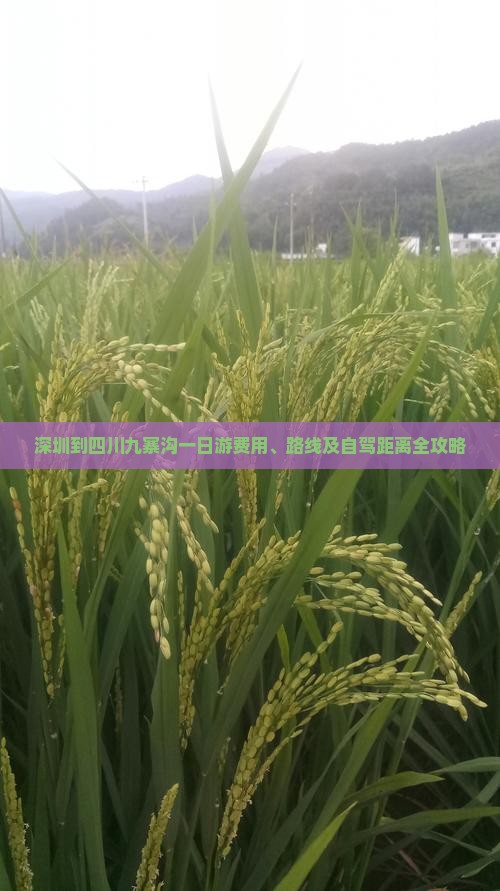 深圳到四川九寨沟一日游费用、路线及自驾距离全攻略