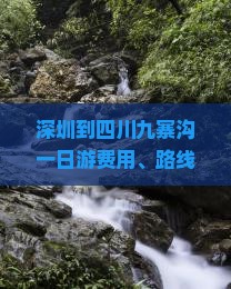 深圳到四川九寨沟一日游费用、路线及自驾距离全攻略