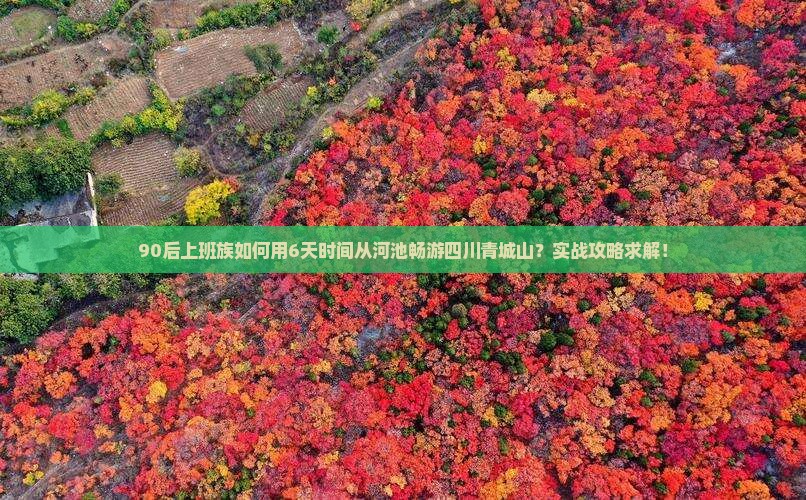 90后上班族如何用6天时间从河池畅游四川青城山？实战攻略求解！