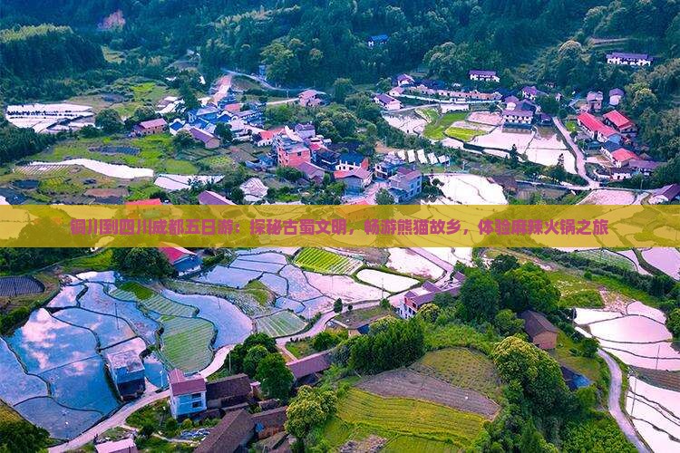 铜川到四川成都五日游：探秘古蜀文明，畅游熊猫故乡，体验麻辣火锅之旅