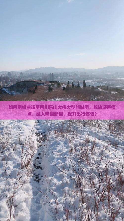 如何组织曲靖至四川乐山大佛大型旅游团，解决游客痛点，融入热词新词，提升出行体验？