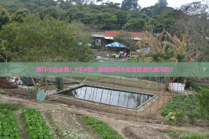 旅行小白必看！5天4夜，我是如何从东营畅游九寨沟的？