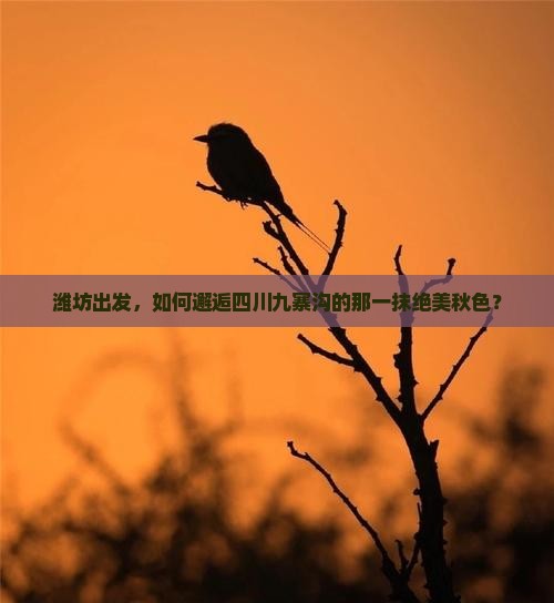 潍坊出发，如何邂逅四川九寨沟的那一抹绝美秋色？