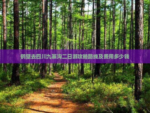 鹤壁去四川九寨沟二日游攻略路线及费用多少钱