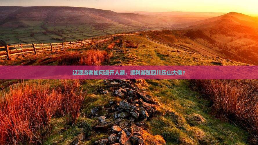 辽源游客如何避开人潮，顺利游览四川乐山大佛？