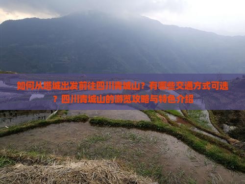 如何从塔城出发前往四川青城山？有哪些交通方式可选？四川青城山的游览攻略与特色介绍