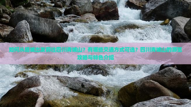 如何从塔城出发前往四川青城山？有哪些交通方式可选？四川青城山的游览攻略与特色介绍